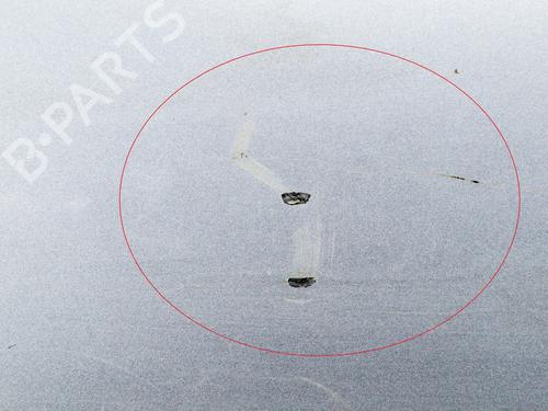 Left front door AUDI A6 C6 (4F2) 3.0 TDI quattro | BP30130448C2 