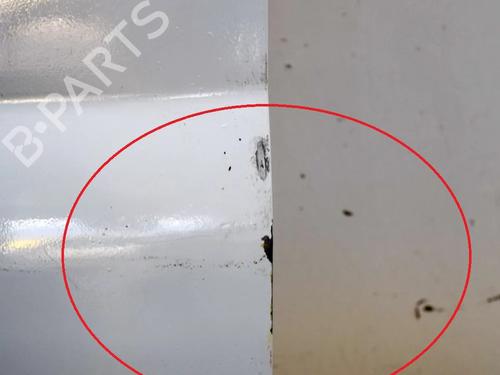 Left slide door FORD TRANSIT Van (FA_ _) 2.2 TDCi | BP30595958C74 