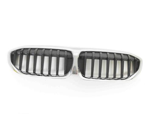 Used Grille BMW 5 (G30, F90) M5 (600 hp) 30220307