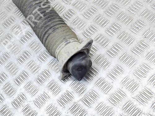 Left rear shock absorber HONDA CIVIC X Hatchback (FC_, FK_) 1.0 VTEC (FK6) | BP12927674M18 