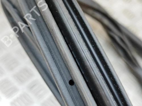 Rubber door seal BMW 2 Gran Coupe (F44) M 235 i xDrive | BP28430826C142