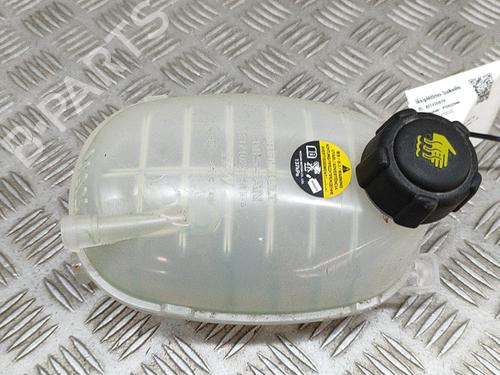 Used Expansion tank NISSAN JUKE (F16_) DIG-T 117 (117 hp) 28687230