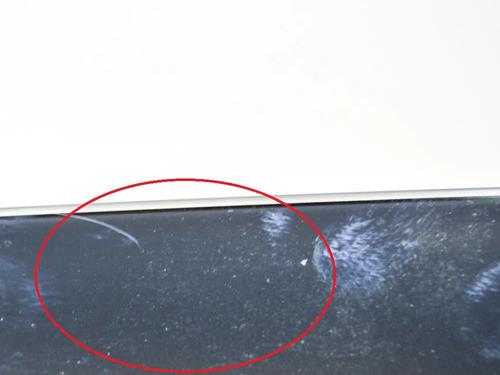 Other TESLA MODEL 3 (5YJ3) EV Performance AWD | BP27751473O1 - Image 5