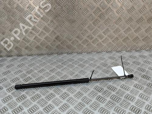 tailgate-lift-support-nissan-juke-f16_-2019-27774866 main image