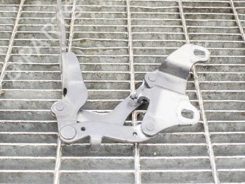 Hinge/Door check strap BMW 3 (E90) 318 i | BP14607580C146 