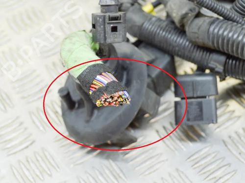 Wiring harness PORSCHE PANAMERA (970) 3.0 D | BP14622892E16