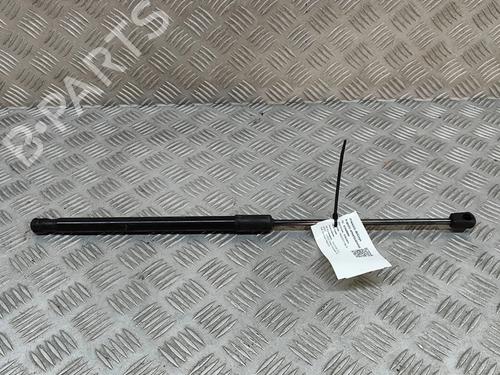 hood-lift-support-polestar-polestar-2-534-2019-28431756 main image