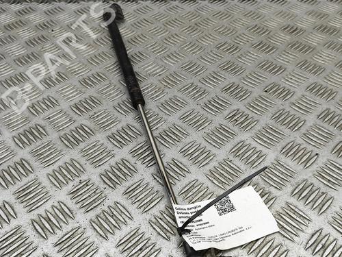 Tailgate lift support TOYOTA LAND CRUISER 100 (_J1_) 4.2 TD (HDJ100_, HDJ100) | BP30257547C138