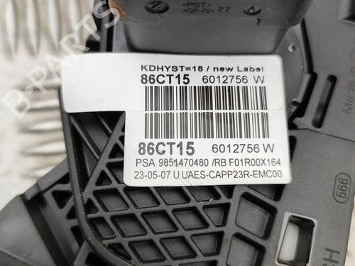 Pedal OPEL VIVARO C Bus (K0) 2.0 | BP31951247I4