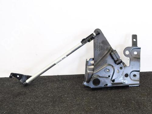 Hinge/Door check strap AUDI A7 Sportback (4GA, 4GF) 3.0 TDI quattro | BP14667686C146