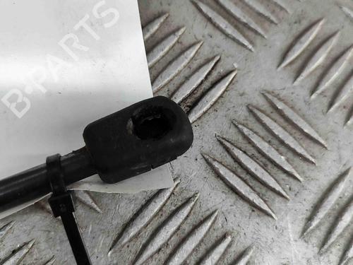 Hood lift support BMW 3 (F30, F80) M3 | BP27799915C139