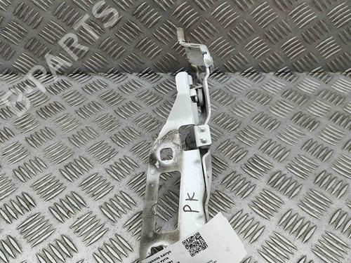 Hinge/Door check strap PORSCHE PANAMERA (970) 3.0 D | BP29487149C146 