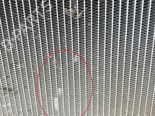 Water radiator LAND ROVER DISCOVERY IV (L319) 3.0 SDV6 4x4 | BP6766317M31