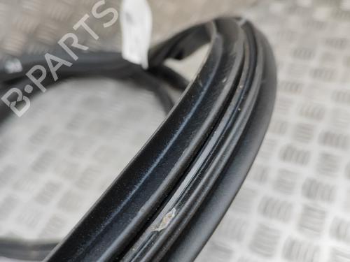 Rubber door seal OPEL MOVANO B Van (X62) 2.3 CDTI FWD (FV) | BP26311374C142 