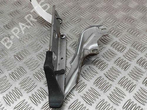 Hinge/Door check strap AUDI A7 Sportback (4GA, 4GF) 3.0 TDI | BP23946561C146