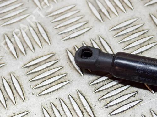 Tailgate lift support TESLA MODEL 3 (5YJ3) EV | BP27758569C138  - Image 5