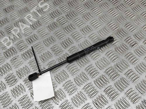 Hood lift support BMW 3 (F30, F80) M3 | BP27799915C139