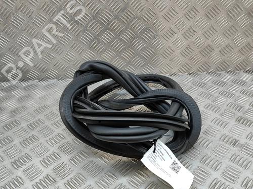 Rubber door seal SKODA SUPERB III (3V3) 2.0 TSI | BP21809380C142 