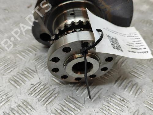  - Image 7