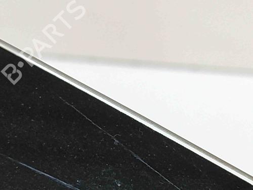 Door moulding trim TESLA MODEL X (5YJX) P100D AWD | BP28435865C150
