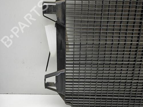Grill RENAULT MASTER III Van (FV) 2.3 dCi 180 FWD (FV04, FV07) | BP38184581C40 - Image 5