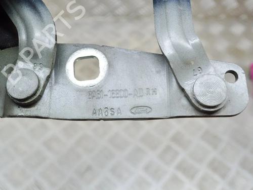 Hinge/Door check strap FORD FIESTA VI (CB1, CCN) 1.0 EcoBoost | BP14624412C146