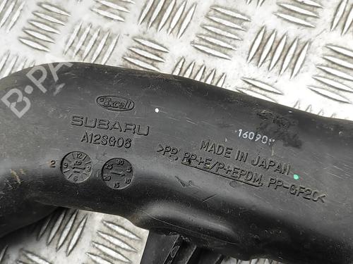 Pipe SUBARU FORESTER (SJ_) 2.0 D AWD (SJD) | BP33392946M125 - Image 6