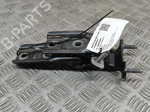 Used Hinge/Door check strap BMW X2 (F39) sDrive 20 i (192 hp) 28558666