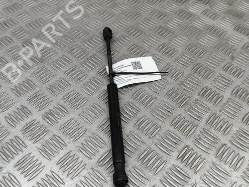 Hood lift support LAND ROVER RANGE ROVER EVOQUE (L538) 2.0 D 4x4 | BP24975785C139 