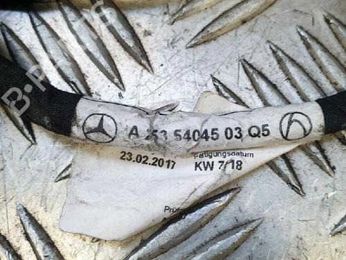 Electronic module MERCEDES-BENZ GLC Coupe (C253) 250 d 4-matic (253.309) | BP14612010M83 