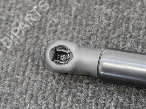 Hood lift support BMW 1 (F20) M 140 i | BP14666367C139 