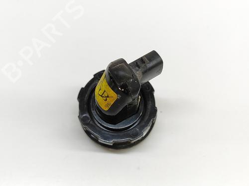 Electronic module CHEVROLET CAPTIVA (C100, C140) 2.0 D 4WD | BP23946458M83 