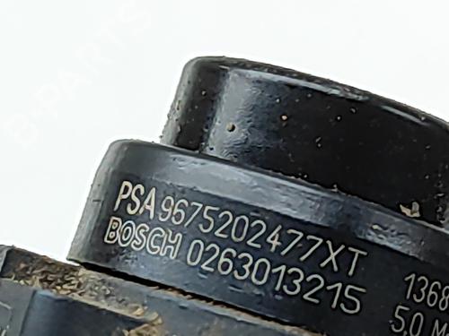 Electronic module CITROËN C4 CACTUS 1.6 BlueHDi 100 | BP29975809M83