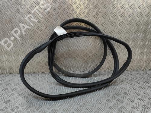Used Rubber door seal OPEL MOVANO B Van (X62) 2.3 CDTI FWD (FV) (163 hp) 26311374