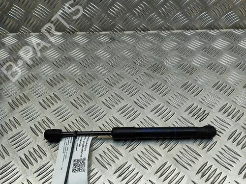 hood-lift-support-bmw-x5-g05-f95-2018-33164352 main image