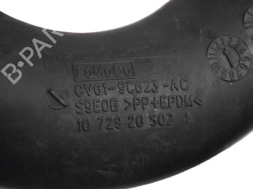 Pipe FORD FOCUS III 1.0 EcoBoost | BP30235012M125