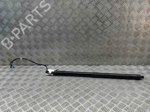 Tailgate lift support PORSCHE PANAMERA (970) 3.0 D | BP29487123C138 