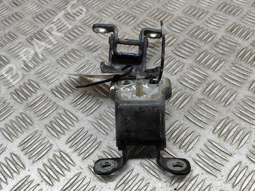 Hinge/Door check strap FORD USA F-150 4.2 4x4 | BP28557517C146 