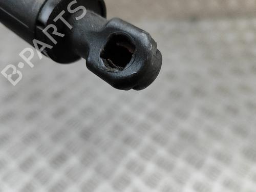 Tailgate lift support TESLA MODEL Y (5YJY) EV Performance All-wheel Drive | BP31314682C138 