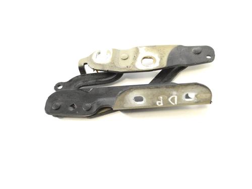 hingedoor-check-strap-ford-fiesta-vi-cb1-ccn-2008-30282271 main image