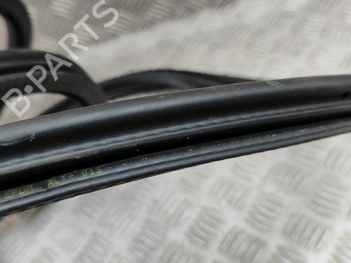 Rubber door seal PORSCHE CAYENNE (92A) 3.0 Diesel | BP16313123C142 