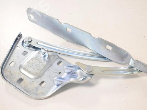 Hinge/Door check strap LAND ROVER RANGE ROVER VELAR (L560) 2.0 P300 Si4 4x4 | BP30207907C146