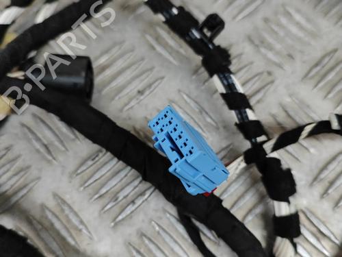 Wiring harness VW ARTEON (3H7, 3H8) 1.5 TSi | BP27766047E16