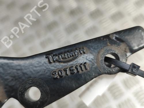 Other TRIUMPH MOTORCYCLES THRUXTON Thruxton 900 (986ME2) | BP28687891O1 - Image 6