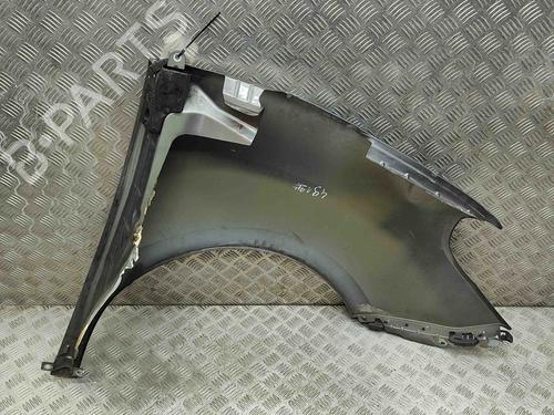 Left front fenders FIAT DOBLO Bus (263_) 1.3 D Multijet (263AXC1A) | BP29890769C41 