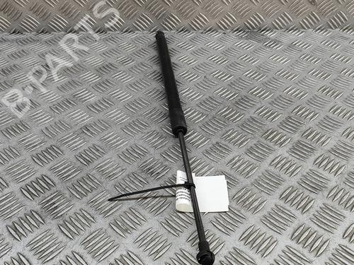 Tailgate lift support VW GOLF VII (5G1, BQ1, BE1, BE2) e-Golf | BP27350513C138 