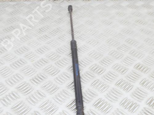 Hood lift support AUDI Q7 (4LB) 3.0 TDI quattro | BP15551494C139 