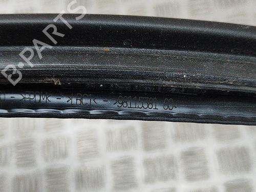 Rubber door seal PEUGEOT 3008 II SUV (MC_, MR_, MJ_, M4_) 1.5 BlueHDi 130 | BP21487059C142