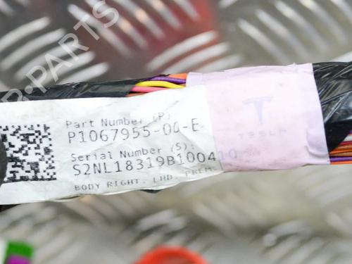 Wiring harness TESLA MODEL 3 (5YJ3) EV AWD | BP27750616E16