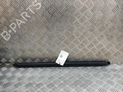 tailgate-lift-support-vw-tiguan-ad1-ax1-2016-2017-2018-2019-2020-2021-2022-2023-2024-27771338 main image